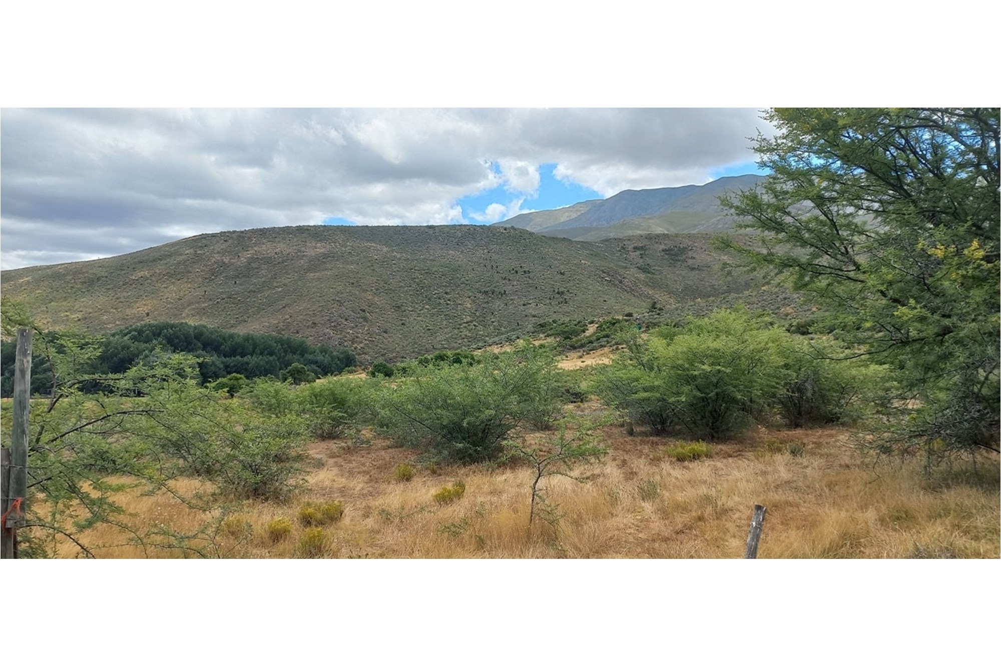 1 Bedroom Property for Sale in Uniondale Rural Western Cape